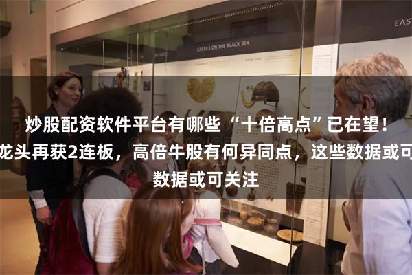 炒股配资软件平台有哪些 “十倍高点”已在望！算力龙头再获2连板，高倍牛股有何异同点，这些数据或可关注