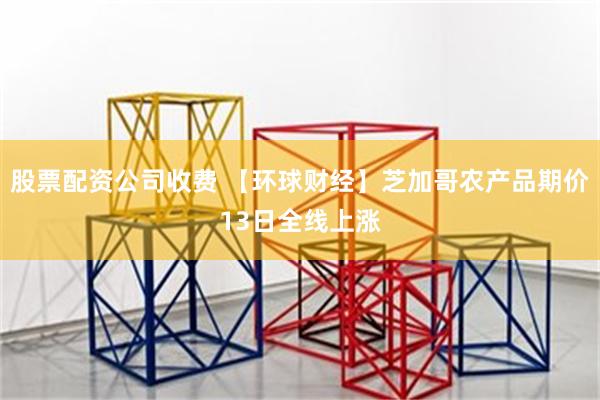 股票配资公司收费 【环球财经】芝加哥农产品期价13日全线上涨