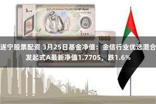 遂宁股票配资 3月25日基金净值：金信行业优选混合发起式A最新净值1.7705，跌1.6%