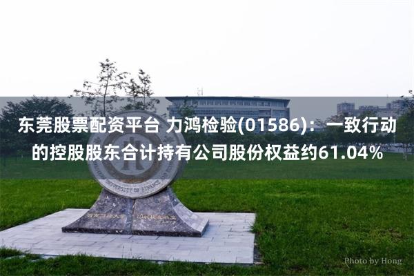 东莞股票配资平台 力鸿检验(01586)：一致行动的控股股东合计持有公司股份权益约61.04%