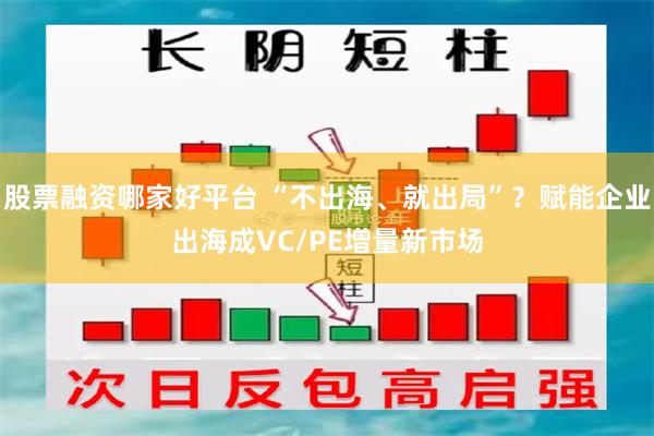 股票融资哪家好平台 “不出海、就出局”？赋能企业出海成VC/PE增量新市场