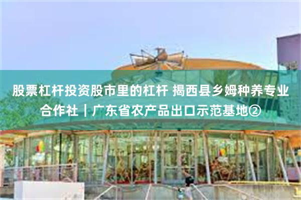 股票杠杆投资股市里的杠杆 揭西县乡姆种养专业合作社｜广东省农产品出口示范基地②
