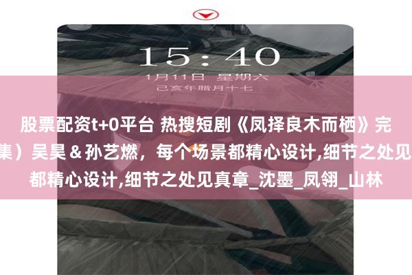 股票配资t+0平台 热搜短剧《凤择良木而栖》完整版高清全集，（50集）吴昊＆孙艺燃，每个场景都精心设计,细节之处见真章_沈墨_凤翎_山林