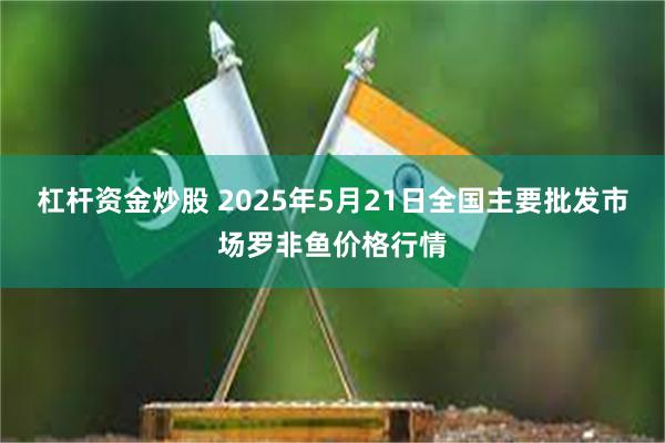 杠杆资金炒股 2025年5月21日全国主要批发市场罗非鱼价格行情
