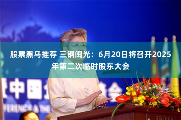 股票黑马推荐 三钢闽光：6月20日将召开2025年第二次临时股东大会