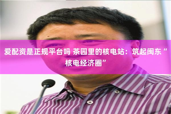爱配资是正规平台吗 茶园里的核电站：筑起闽东“核电经济圈”