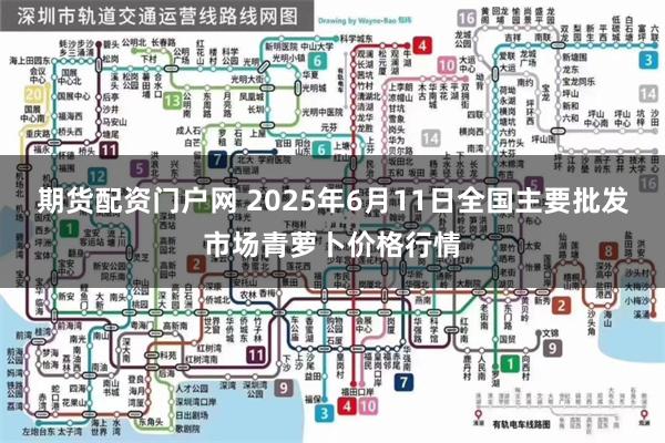 期货配资门户网 2025年6月11日全国主要批发市场青萝卜价格行情