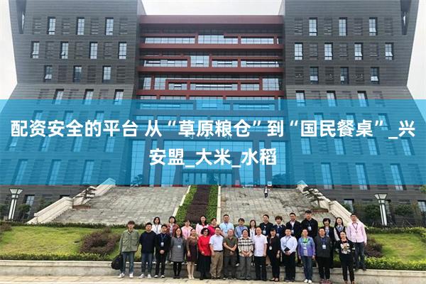 配资安全的平台 从“草原粮仓”到“国民餐桌”_兴安盟_大米_水稻