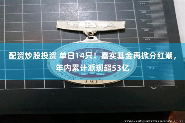 配资炒股投资 单日14只！嘉实基金再掀分红潮，年内累计派现超53亿
