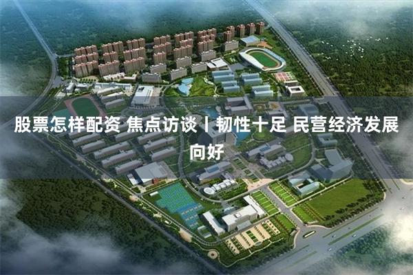 股票怎样配资 焦点访谈丨韧性十足 民营经济发展向好