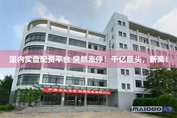 国内实盘配资平台 突然涨停！千亿巨头，新高！