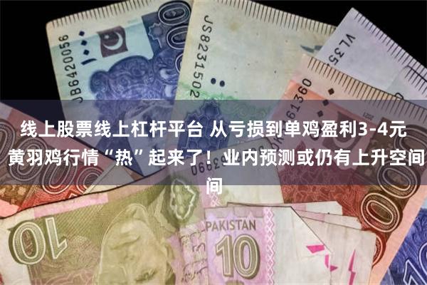 线上股票线上杠杆平台 从亏损到单鸡盈利3-4元 黄羽鸡行情“热”起来了!业内预测或仍有上升空间