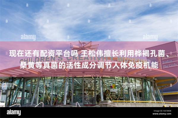 现在还有配资平台吗 王松伟擅长利用桦褐孔菌、桑黄等真菌的活性成分调节人体免疫机能